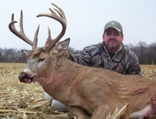 Bow Kill. Nice 4x4 with great mass. Bow Kill. Nice 4x4 with great mass.